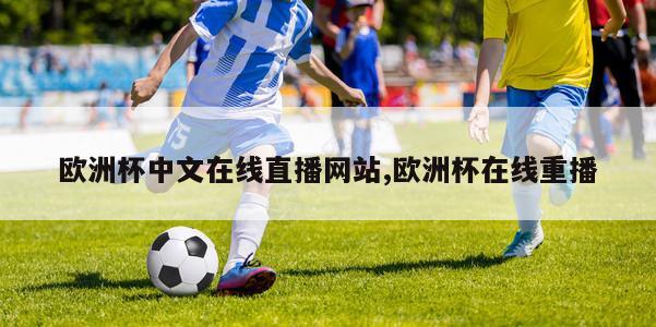 欧洲杯中文在线直播网站,欧洲杯在线重播